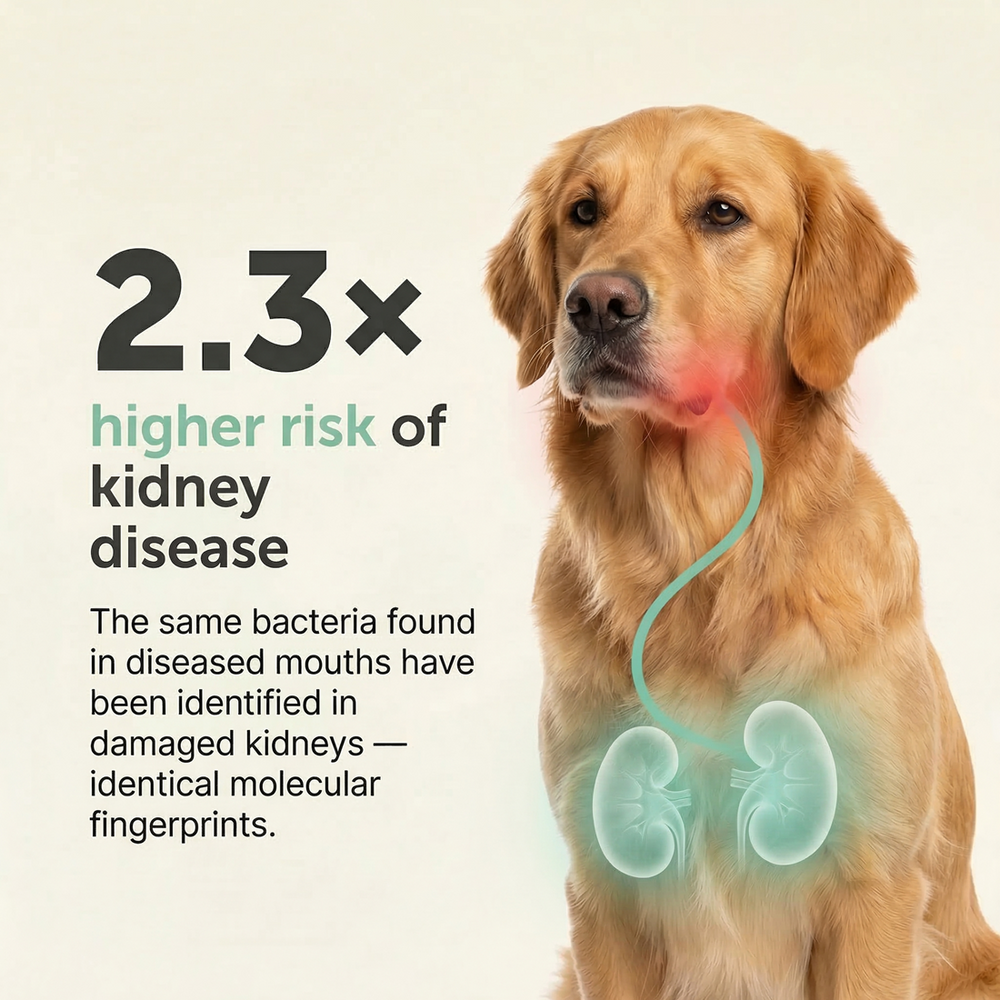 Most owners find out too late