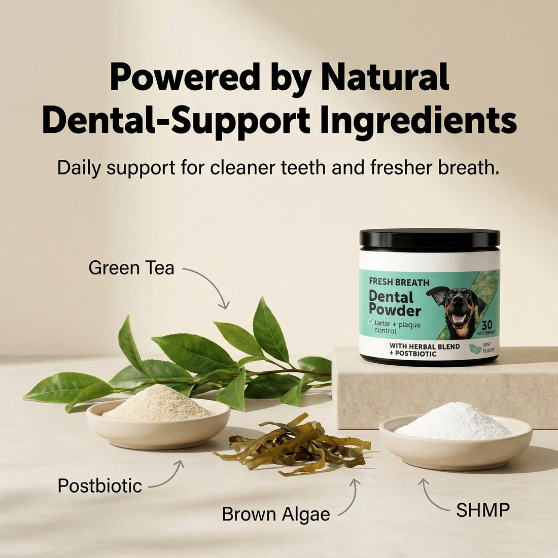 Dental powder for dogs with natural ingredients displayed on a neutral background