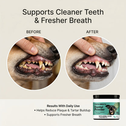 Dog Dental Powder